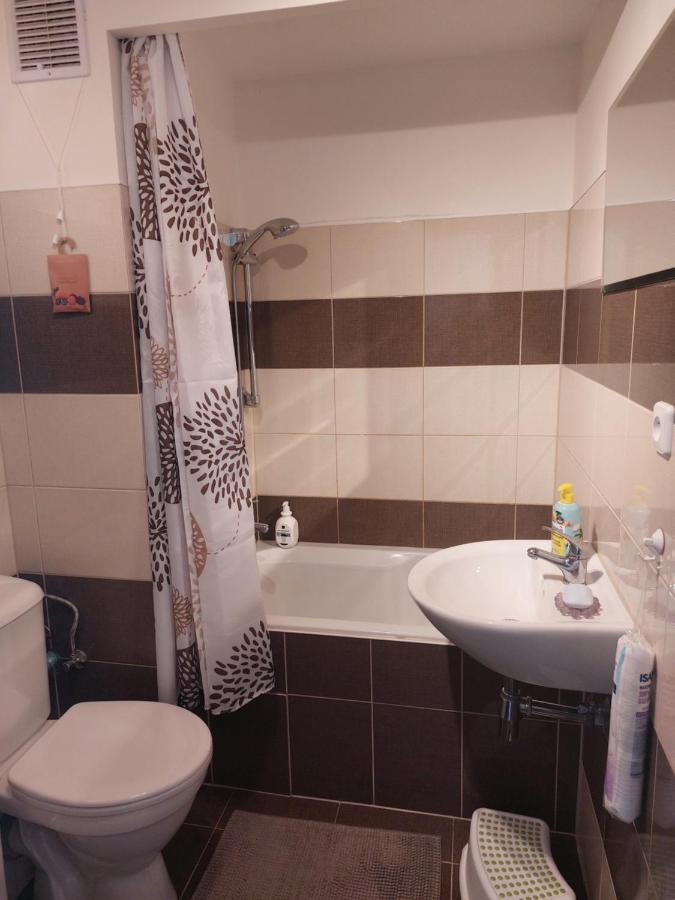 Apartman V Podhuri Krusnych Hor 소콜로브 외부 사진