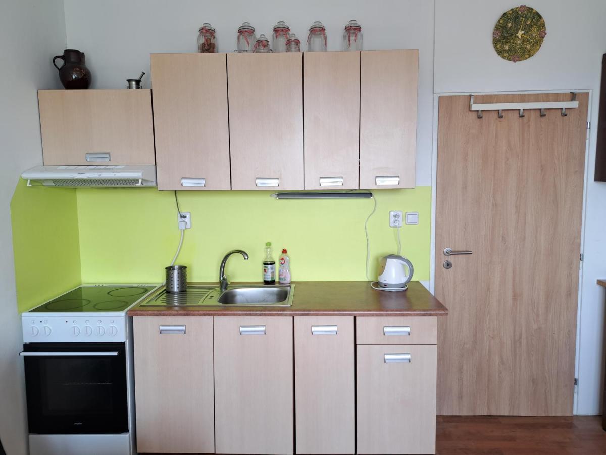 Apartman V Podhuri Krusnych Hor 소콜로브 외부 사진