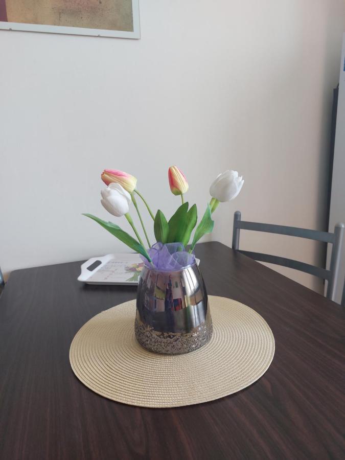 Apartman V Podhuri Krusnych Hor 소콜로브 외부 사진